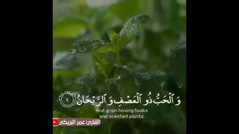 تلاوه جميـله... آيات من سـورة الرحمن... القارئ عمر البريكي