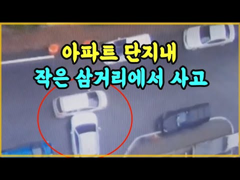 9061회. 같은 단지 주민과 사고가 났습니다. 전 정말 천천히 주행했는데...