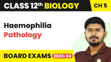 Class 12 Biology Ch 5 | Haemophilia (Pathology) - Principles of Inheritance and Variation 2022-23