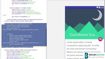 CH 11   Coordinator Layout mp4