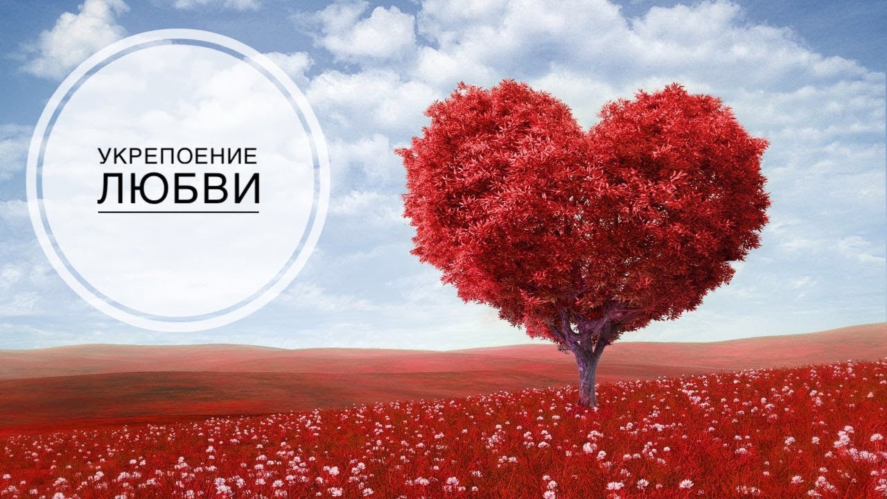 Заговор на привлечение любви Заговор на привлечение любви