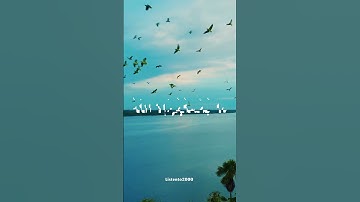 سورة النحل أية {٧٩}|عبد الباسط عبد الصمد                                    #قران_كريم #سورة #قرآن