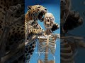 Which cat can actually kill you