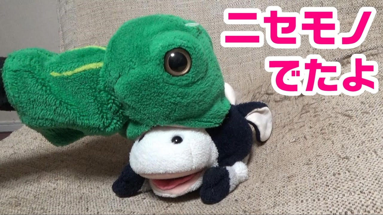 お笑い芸人 パペットマペット 番組・ライブDVD 4点【動作確認済・ケース欠有】 DVD パペットマペット 単独ライブ～演義〜 2005 - メルカリ