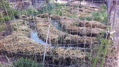 What Swales on a Hill can do!