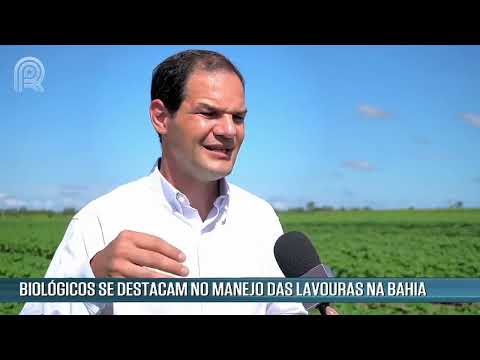 Biodefensivos auxiliam produtores rurais na Bahia | Canal Rural