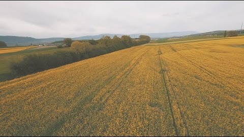 FPV Cloud Session | Gyroflow | Gopro Session 5