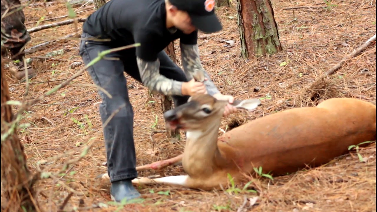 Blood on face after first deer kill