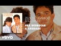 Zezé Di Camargo Luciano Prá Desbotar A Saudade Áudio Oficial Ft Fátima Leão