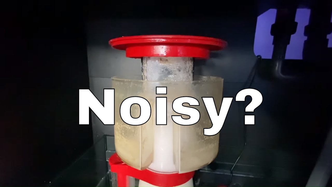Protein Skimmers A Beginners Guide Red Sea Reefer XL 425 Build YouTube