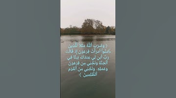 تلاوة خاشعة للشيخ ماهر المعيقلي ماتيسر من سورة التحريم