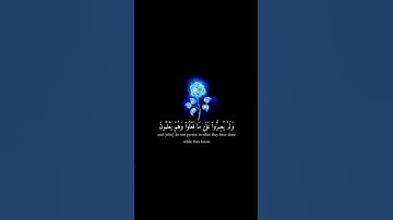من أجمل ما سمعت تلاوة في قمة الجمال