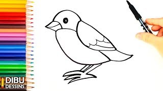 Comment Dessiner Un Oiseau Dessin De Oiseau Youtube