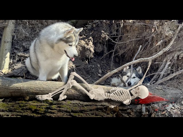 Dacha xotinim bilan porno Oshxonada uzun sochli rus gozalligini sikish