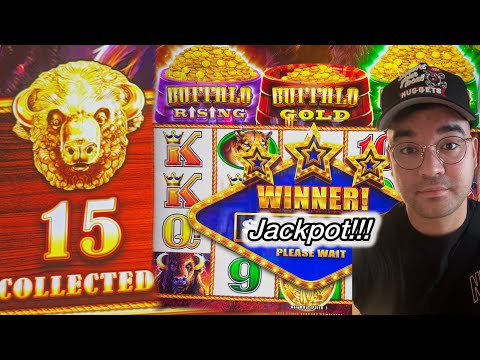 I Won My Biggest Buffalo Gold Jackpot Ever! 15 Gold Heads Collected! #jackpot #buffalogoldcollection