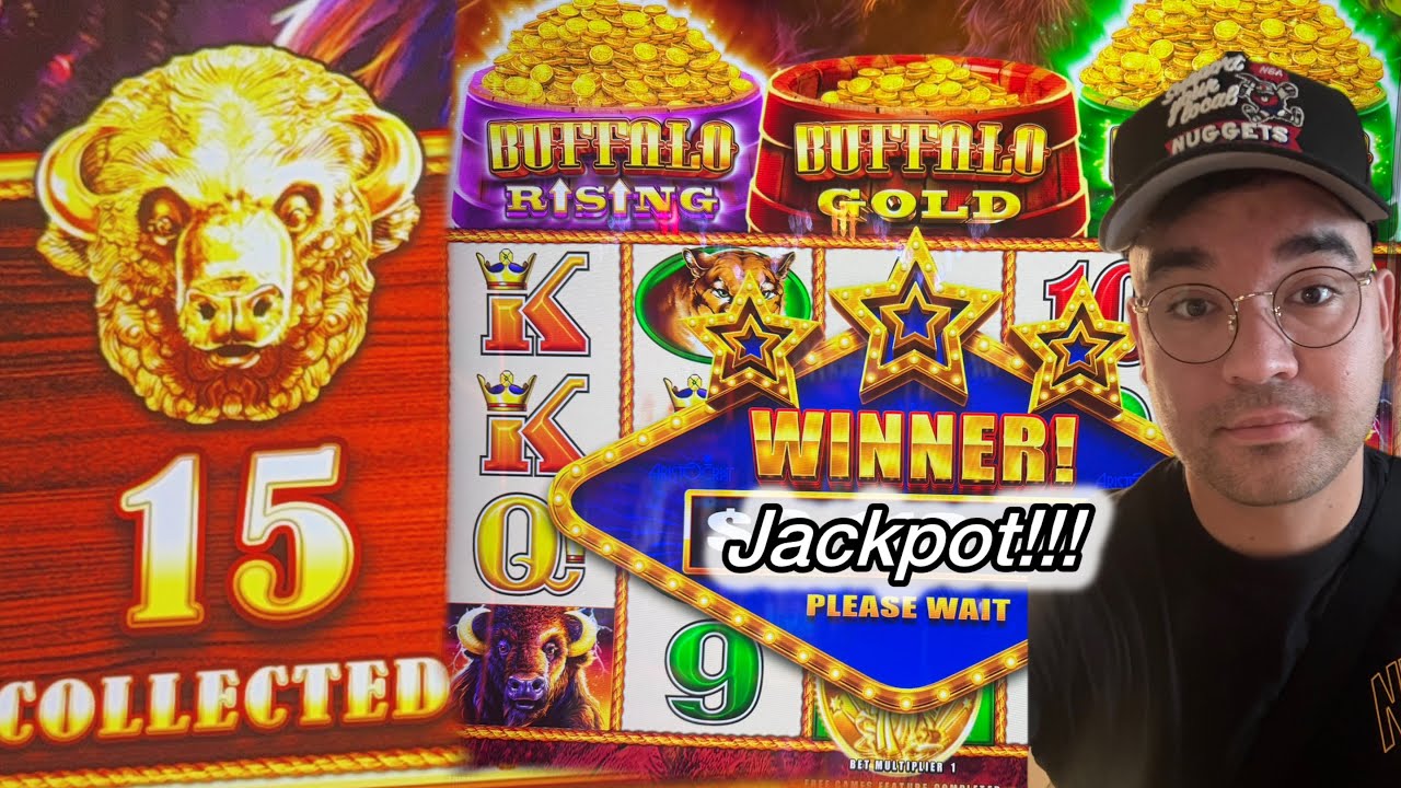 I Won My Biggest Buffalo Gold Jackpot Ever! 15 Gold Heads Collected! #jackpot #buffalogoldcollection