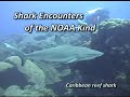 Shark Encounters of the NOAA Kind