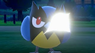 OLD #43 Leer - Pokémon move generations I-VIII