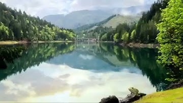 تلاوة جميله جداً للقارئ محمد فيصل سورة الغاشية