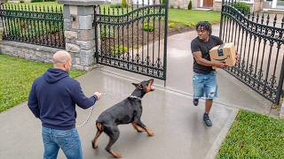 When Thieves Rob The WRONG House! @BingeWatchOfficial