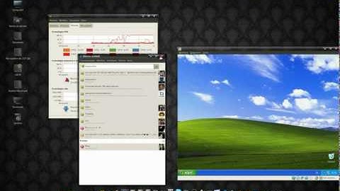 VirtualBox - Windows Xp on Ubuntu 10.04 Lucid Lynx x64