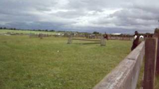 DSCF0272.AVI