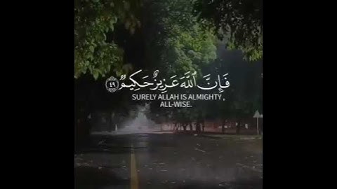 سورة الأنفال جزء من آية (٤٩)