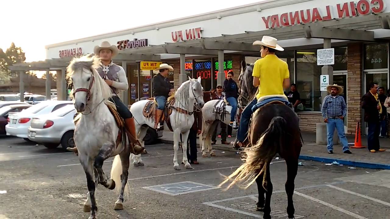 Mexican horse dancing YouTube