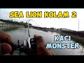 SEA LION KOLAM 2 # kaci Monster