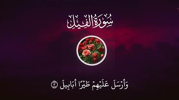 سورة الفيل تلاوة خاشعة تطمئن القلوب القارئ علاء عقل