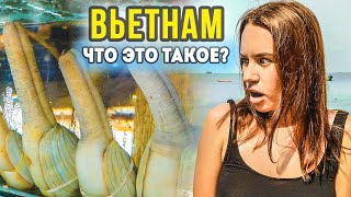 ЦЕНЫ НА МОРЕПРОДУКТЫ ВО ВЬЕТНАМЕ 2020. ХОЧУ ПОЖРАТЬ.