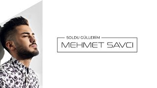 Mehmet Savcı - Soldu Güllerim Resimi