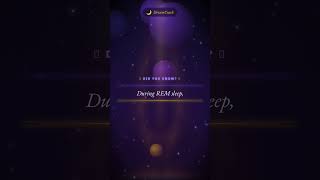 Dream Fact #747: During REM sleep,...