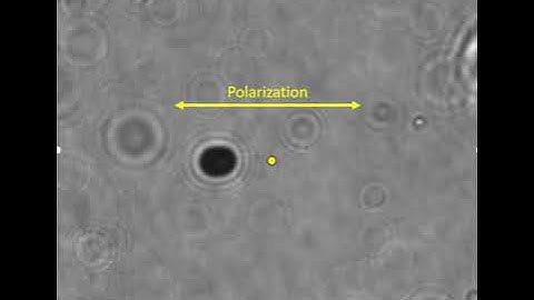 Silicon bead oscillating in a Gaussian beam optical tweezers (parallel laser polarization)