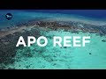 UNTV: THE DIVE | Underwater paradise in Apo Reef