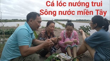 Cá lóc nướng ăn với rau đồng muối ớt siêu cây/Út Tuấn vlog
