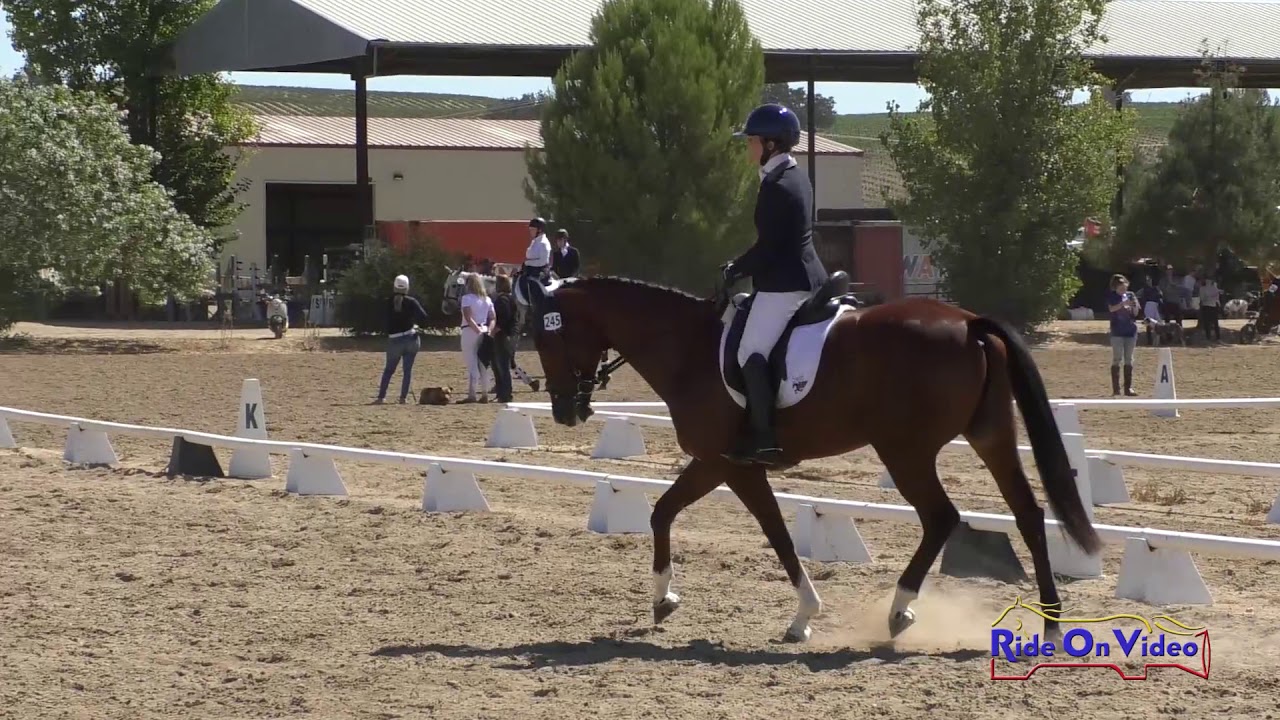 horseshoe bend 245D Erin Kellerhouse on Bon Vivant GWF Novice Horse Dressage Twin Rivers Ranch Sept. 2019