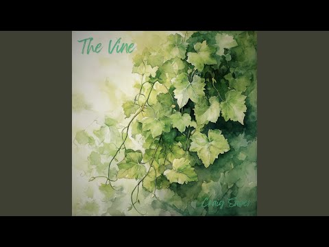 Watch The Vine on YouTube