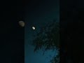 #viralvideo