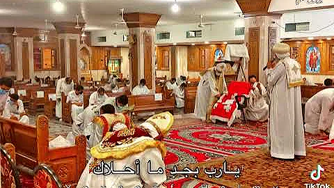 Shenouda Fayez