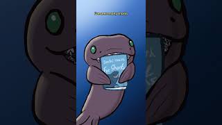 The Frilled Shark 🦎🦈 #animation #original #cartoon