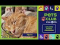 Iowa PBS Pets Club - June 18, 2026