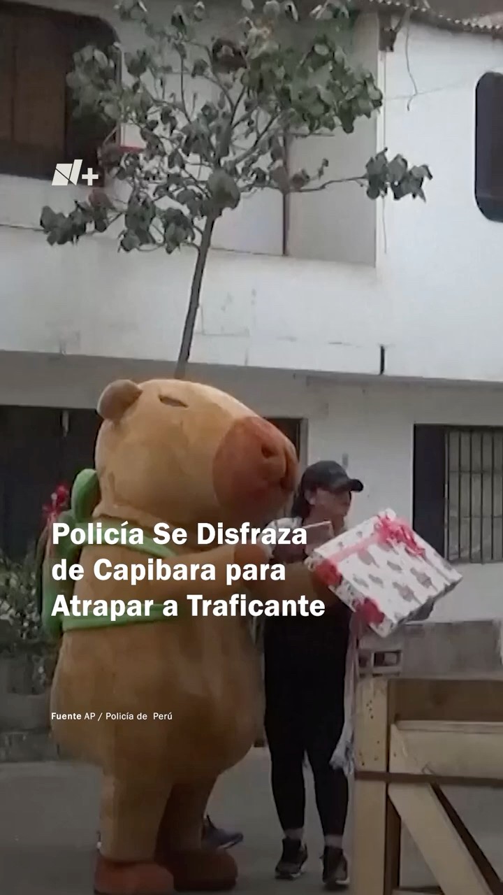 Policía se disfraza de capibara y captura a narcotraficante en Día de San Valentín - N+ #shorts
