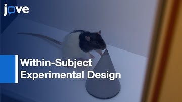 Within-Subject Experimental Design: Object Location Task In Rats l Protocol Preview