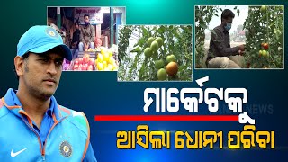 Special Report: Organic Vegetables From MS Dhonis Farm Availabe In Market