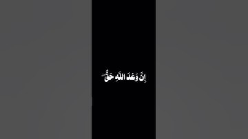 قران كريم 🤍🌷// راحه نفسيه 🧠 // سوره فاطر