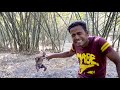 Very Funny Stupid Boys_Top Comedy Video 2020_Try Not To Laugh_Episode 120_By Maha Fun Tv