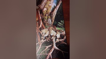 Review 27: The Complete Ranger