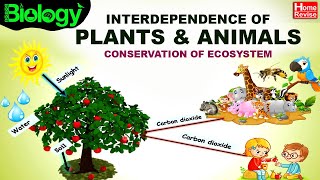 Environment & Ecosystems | Part 4 | Interdependence of Plants & Animals | Conservation of Ecosystem