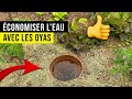 Les oyas  tout savoir 